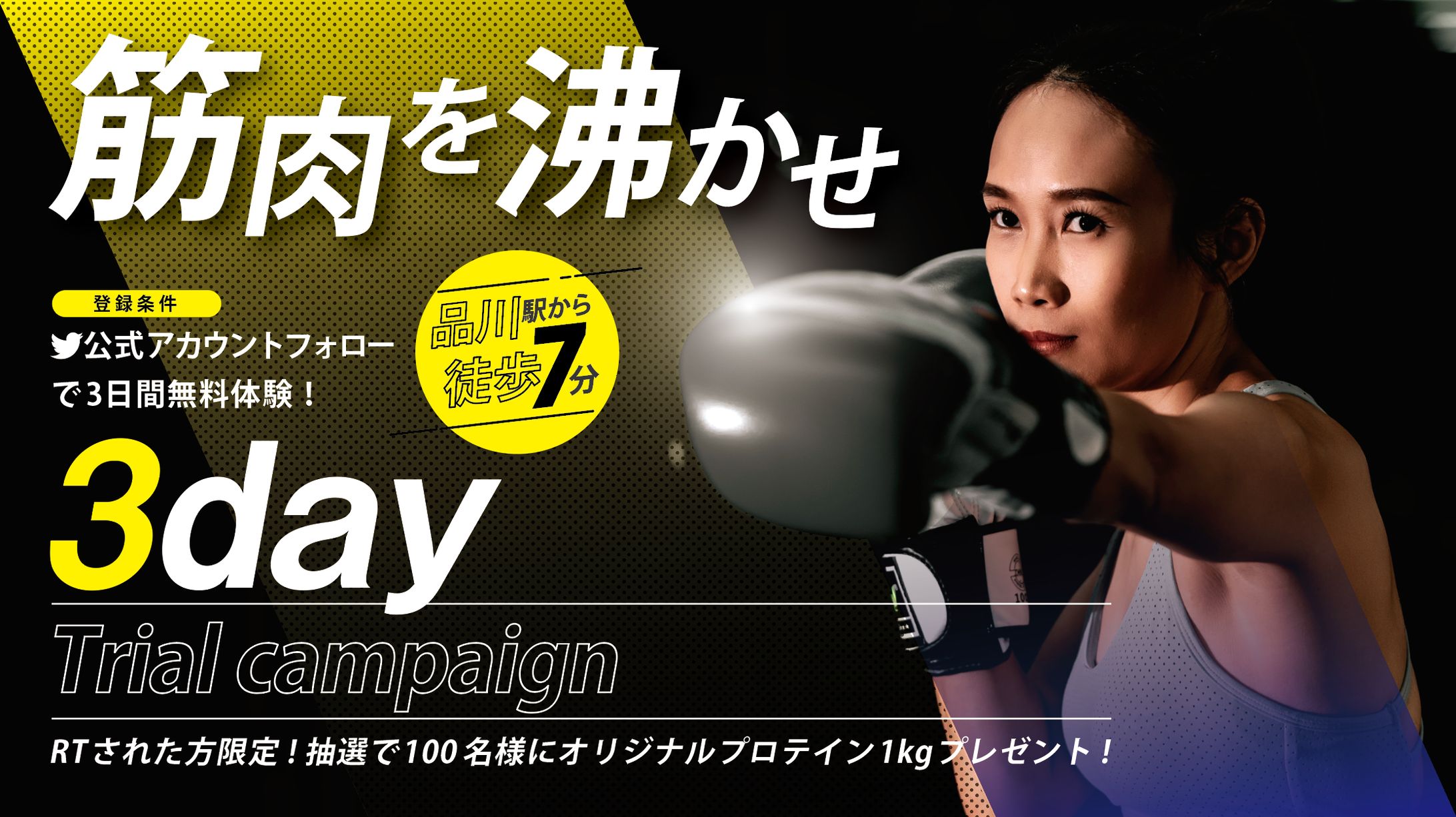 Boxing Gym-1