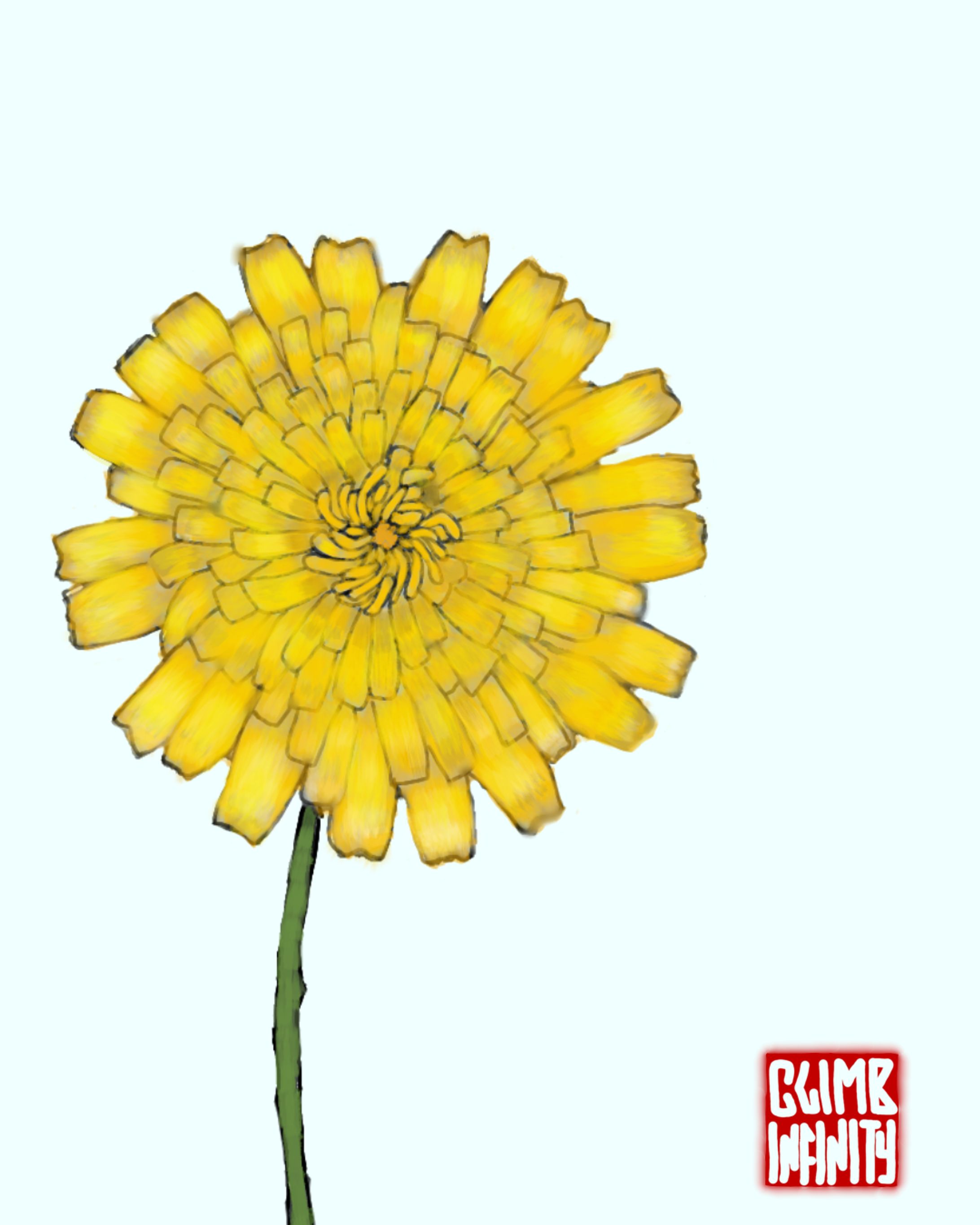 道端のタンポポ-1