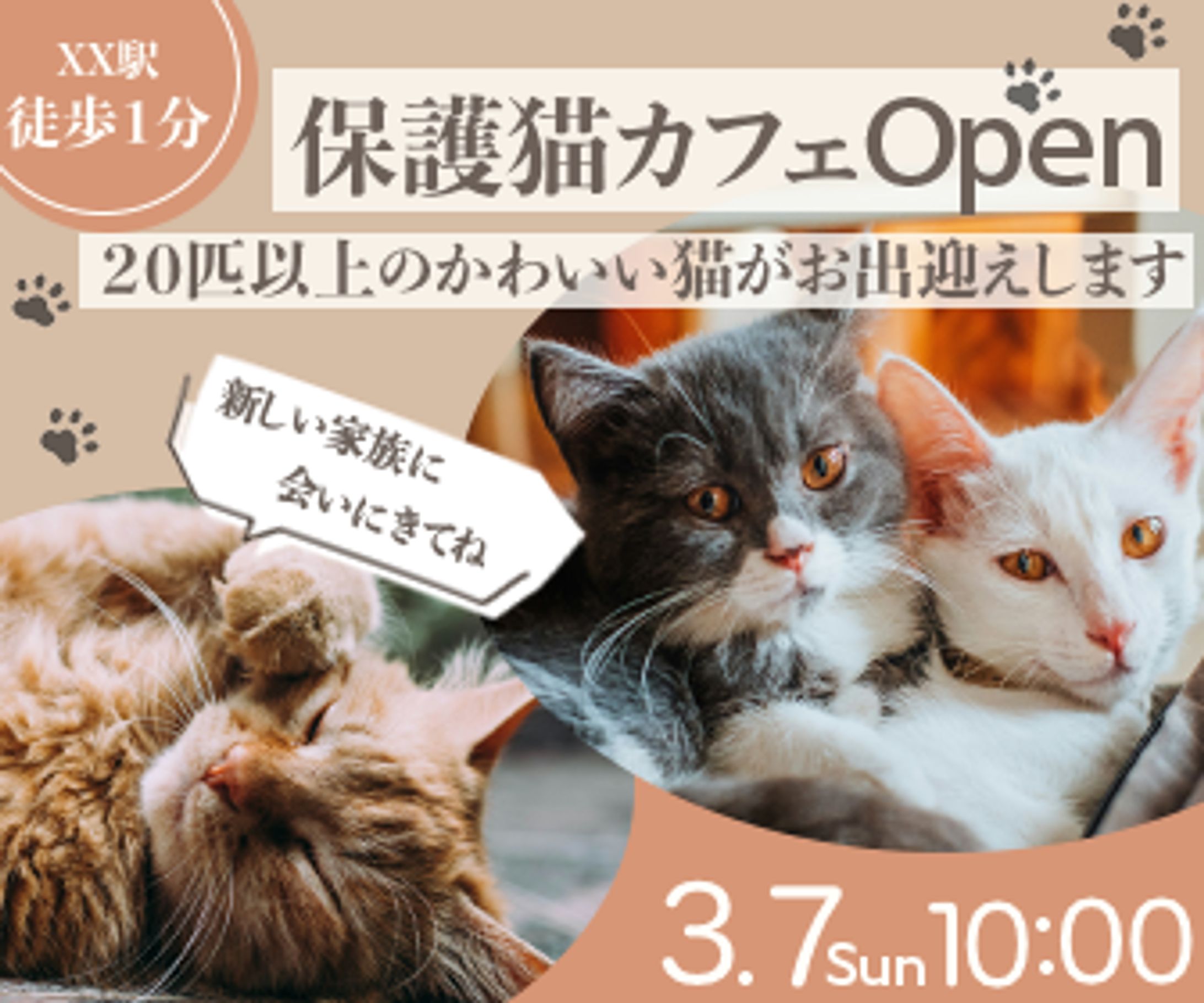 猫カフェ-1