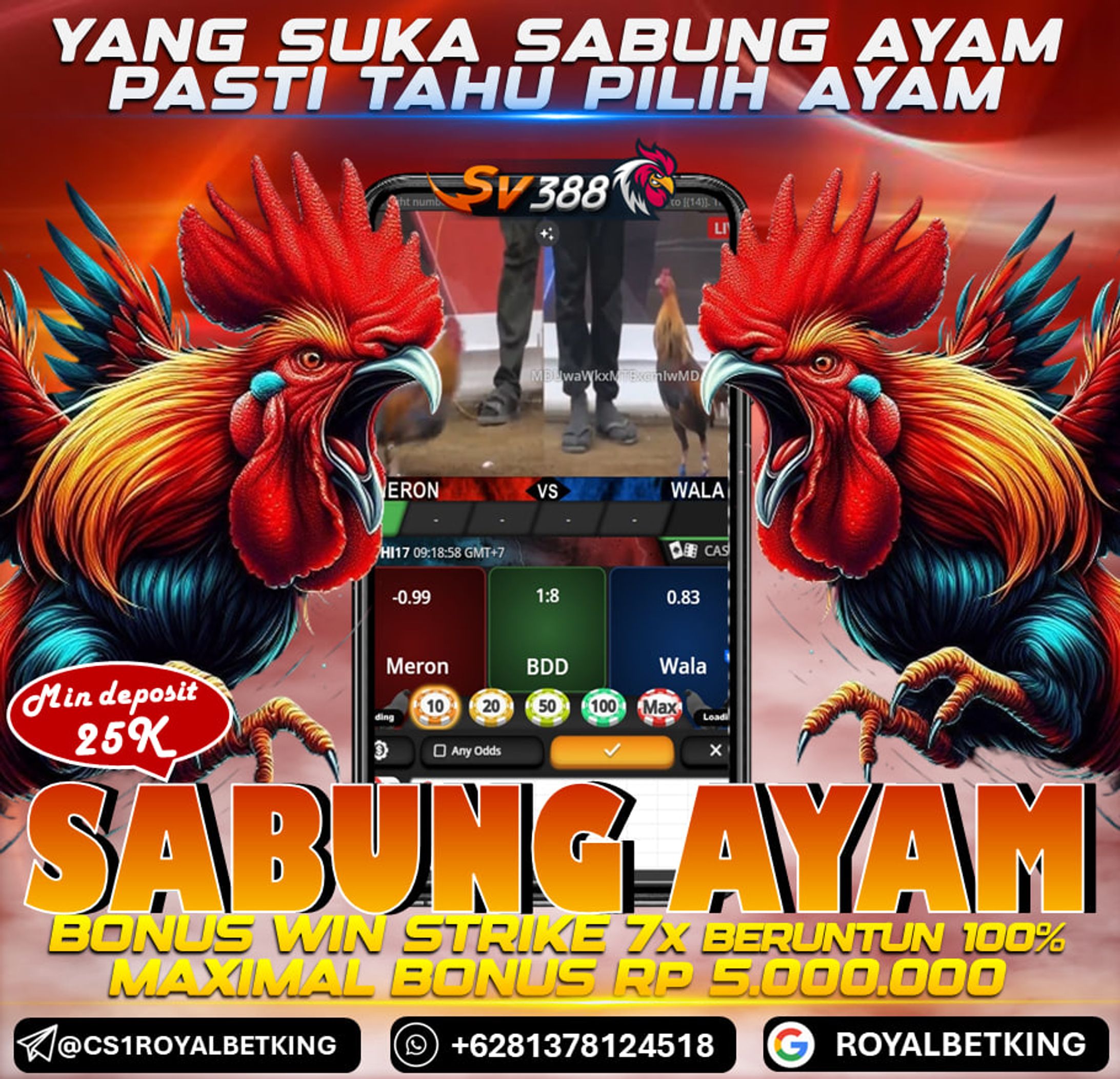 AGEN SABUNG AYAM ONLINE BONUS 100% ROYALBETKING-1