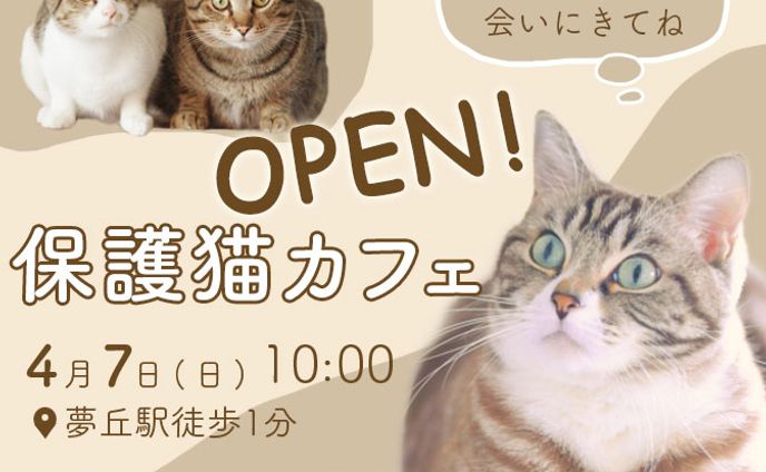 保護猫カフェバナー