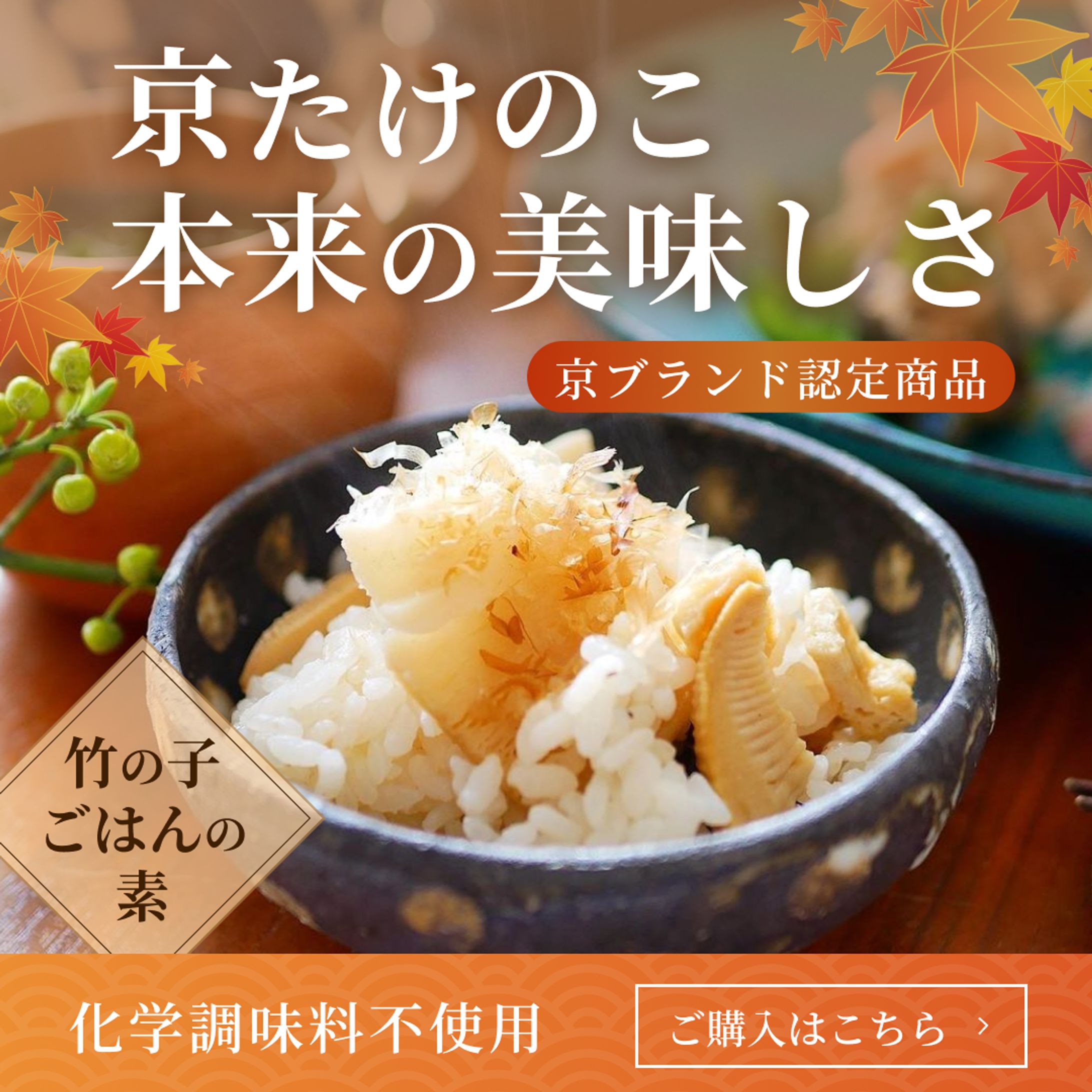 【小川食品様】Instagram広告バナー（2024.10）-1