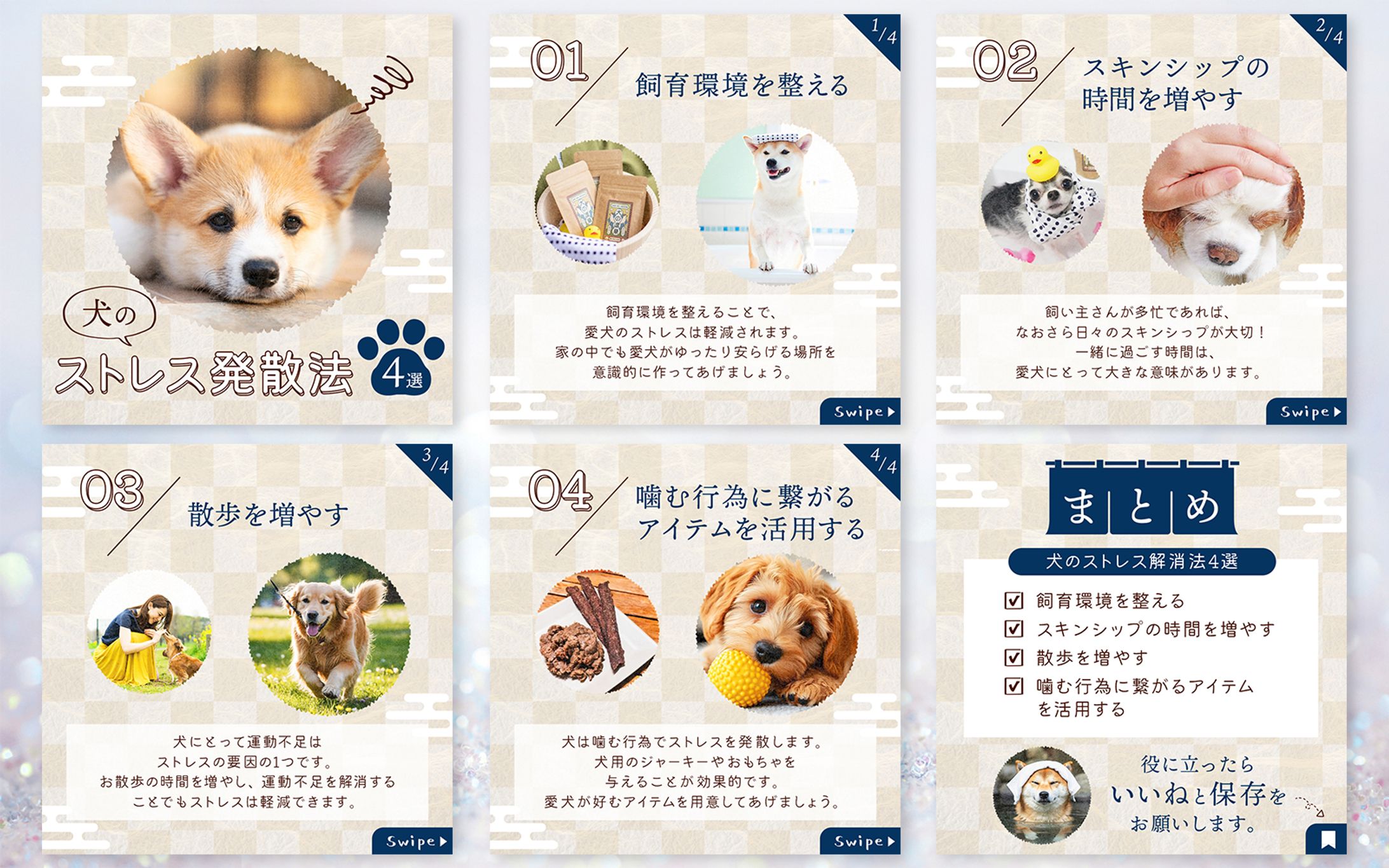 Instagramフィード投稿：犬の温泉様-1