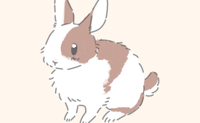 Skebリクエスト イラストレーション