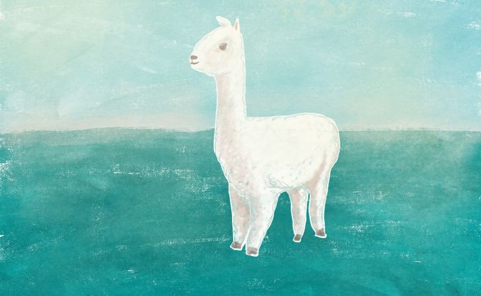 動画編集、イラスト作成