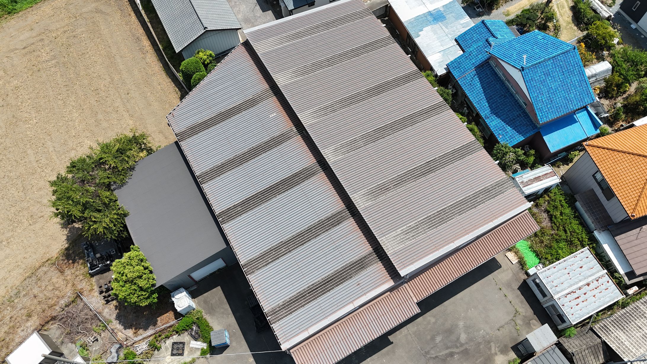 dji fly 20250814 124554 0038 1755475501343 photo-1