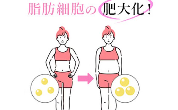 ダイエット系LPの素材制作