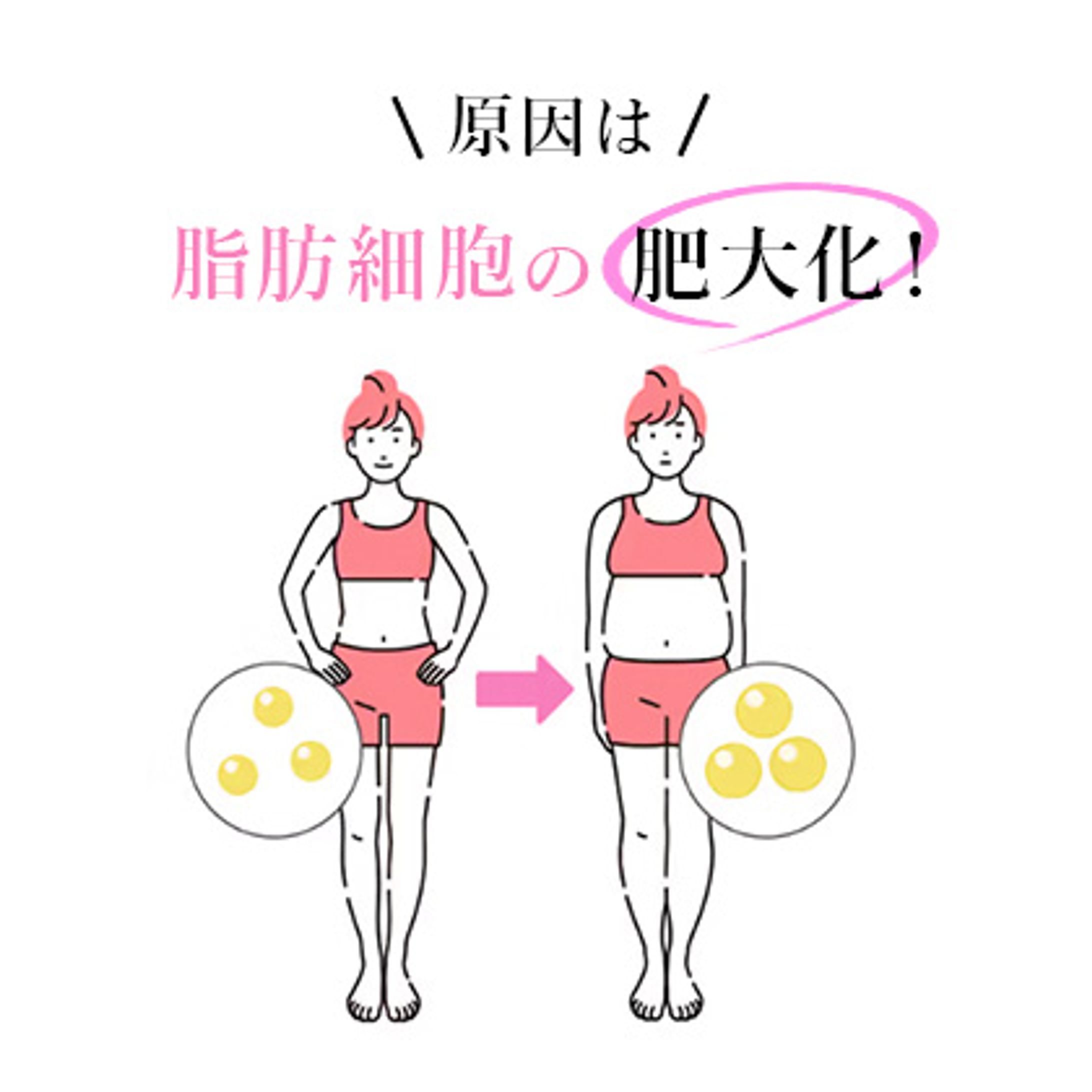 ダイエット系LPの素材制作-1