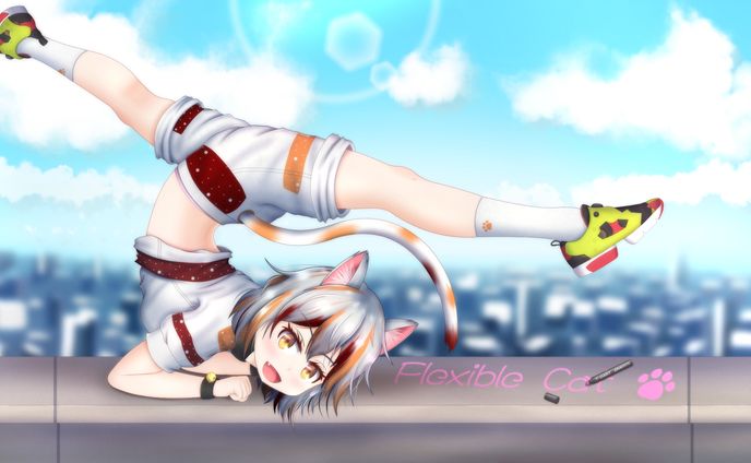 東方Project × Breakdance (豪徳寺ミケ)