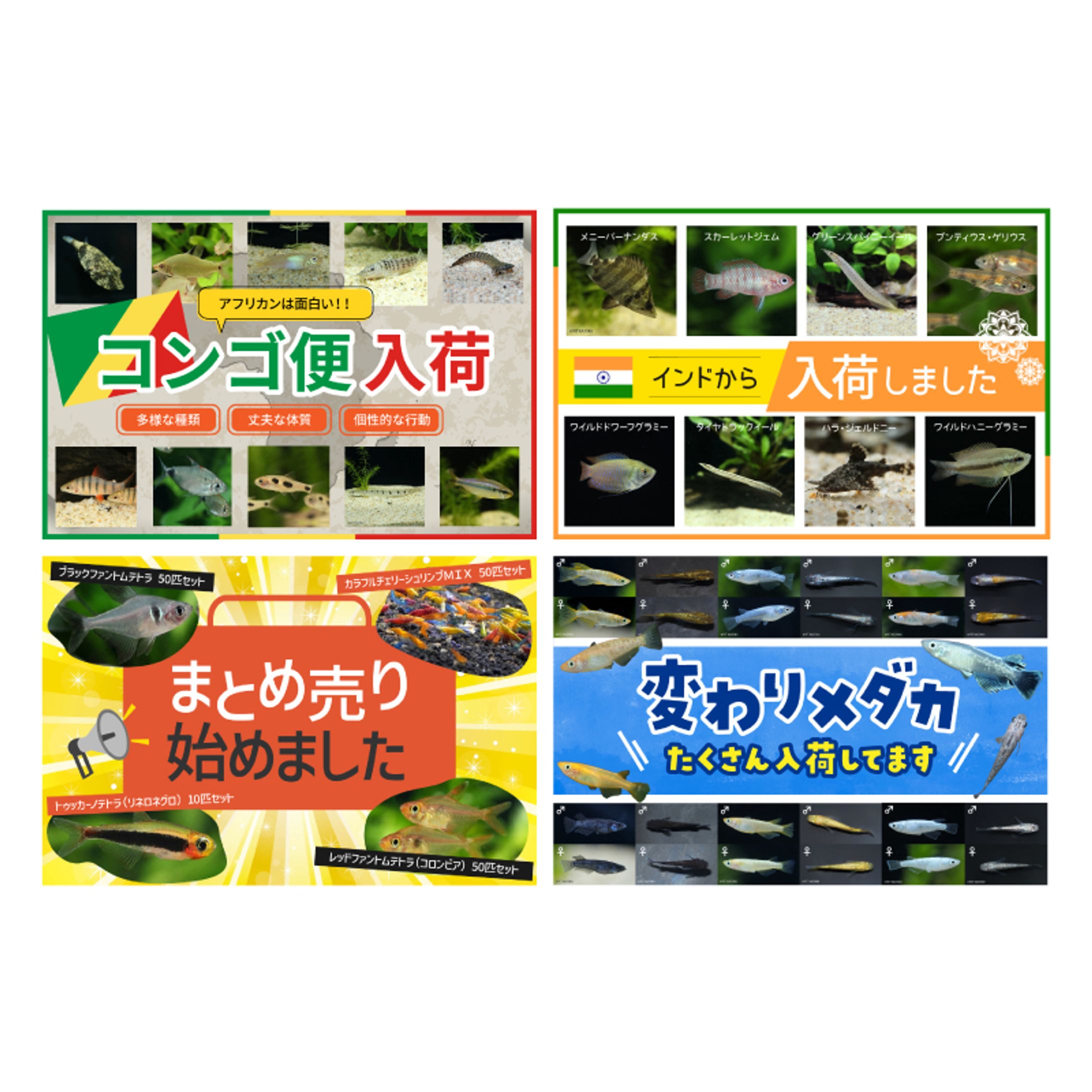 【🐠アクアリウム】楽天・yahooトップページコンテンツバナー制作-1