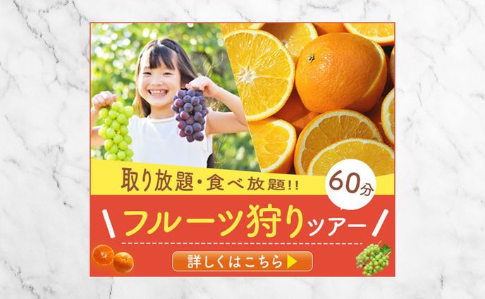バナー：フルーツ狩りツアー