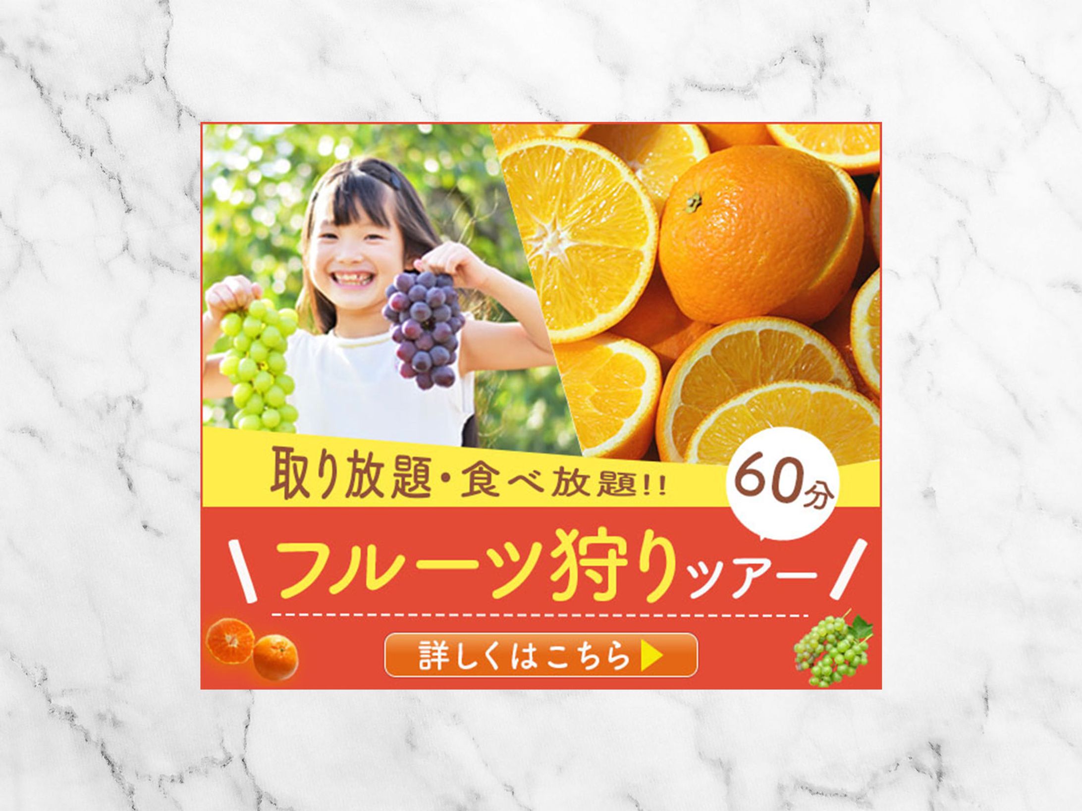 バナー：フルーツ狩りツアー-1