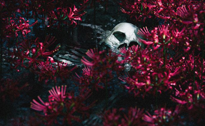 摩天楼オペラAGONYジャケット