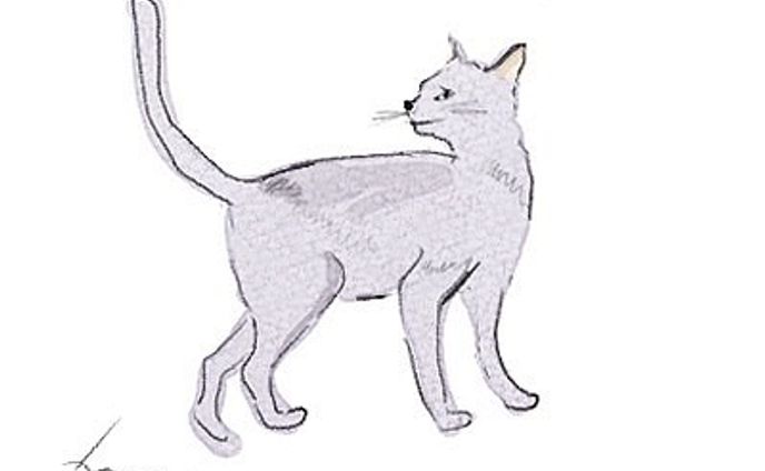 illustrations、medical care