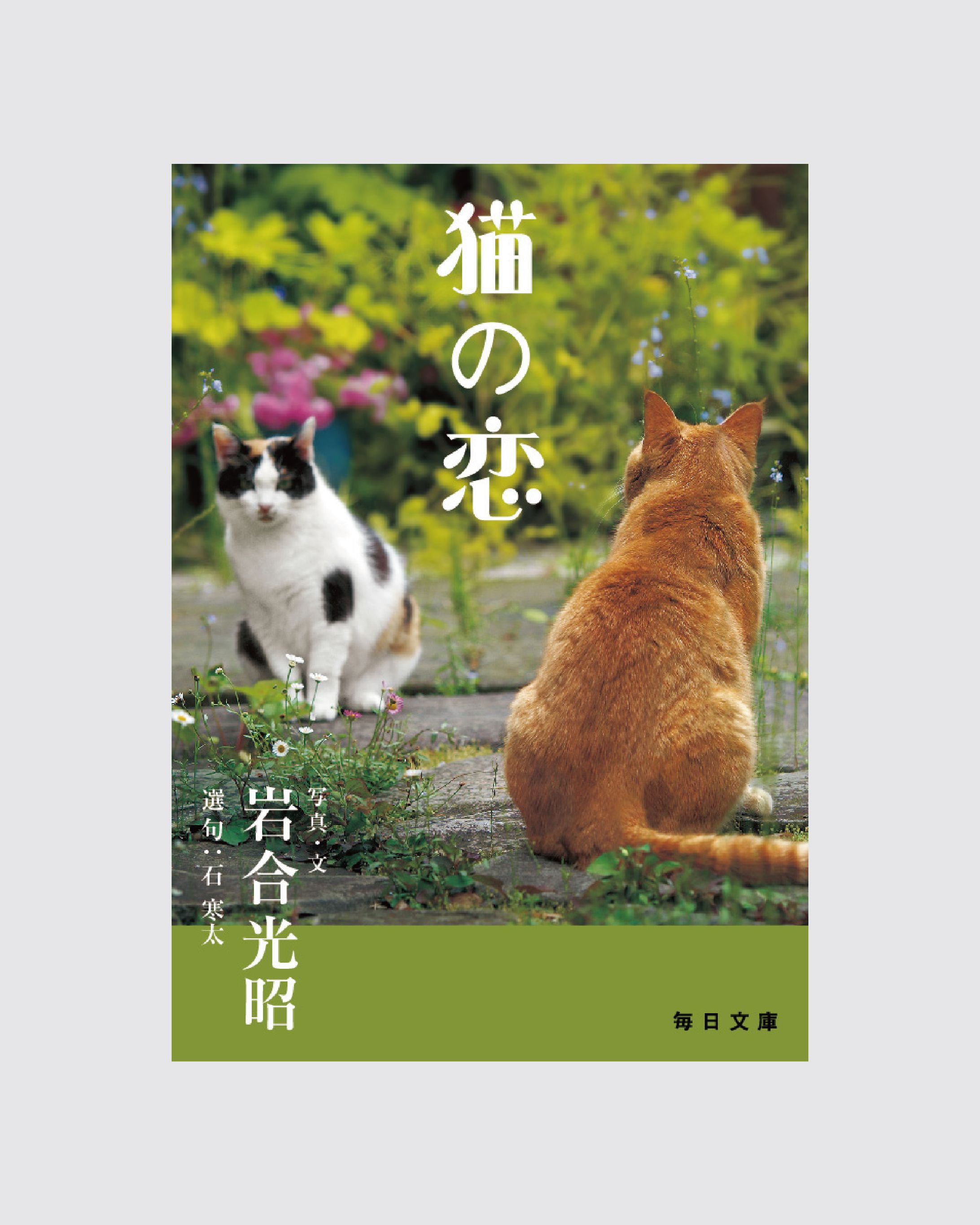 エディトリアル-1