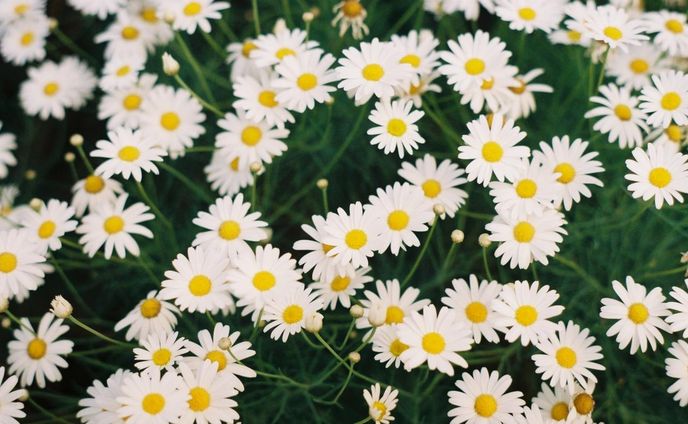 DD292018 4F7E 4598 9509 BBF80570C41F