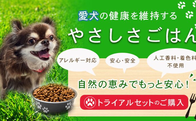 ペットご飯