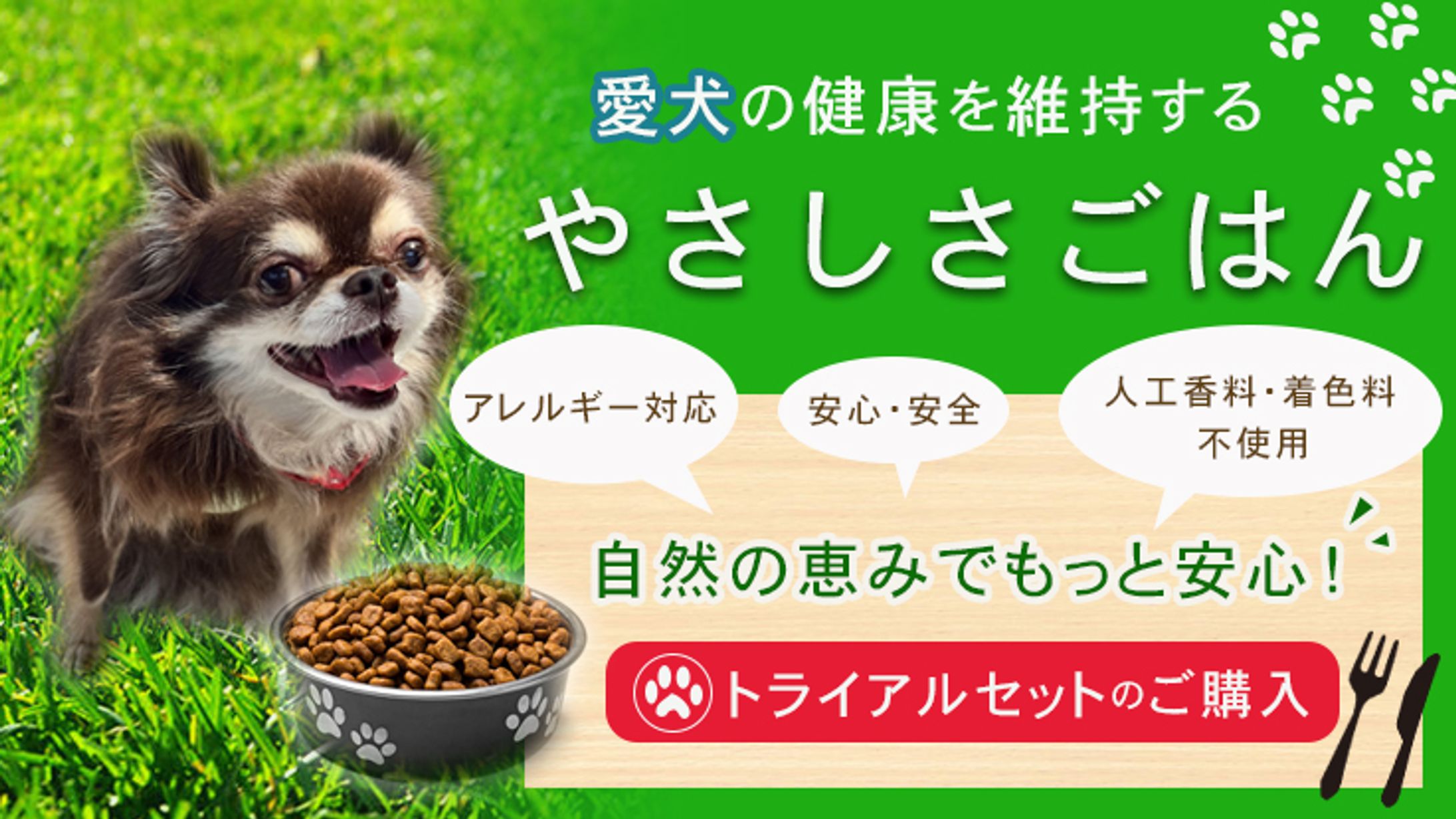 ペットご飯-1