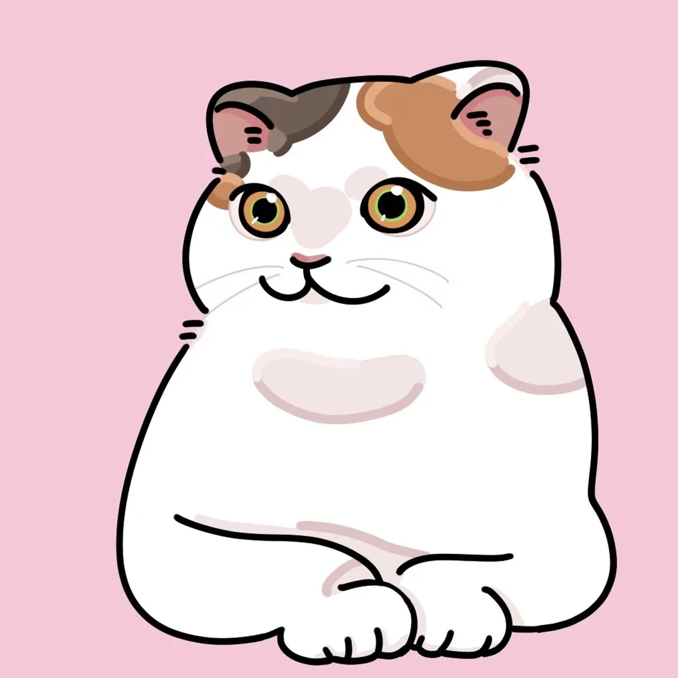 猫-1