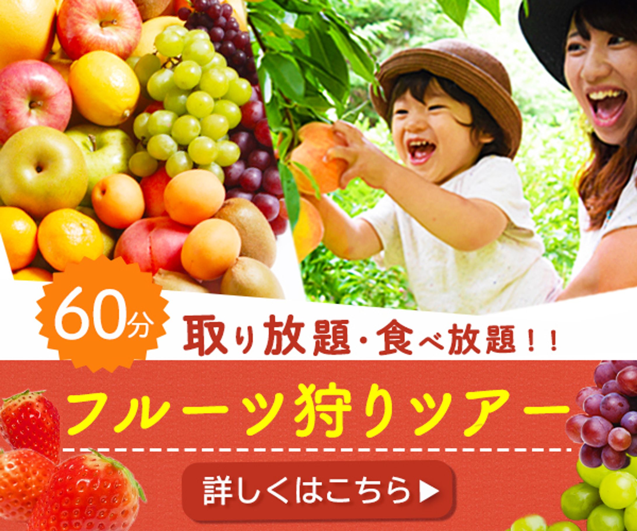 フルーツ狩りバナー-1