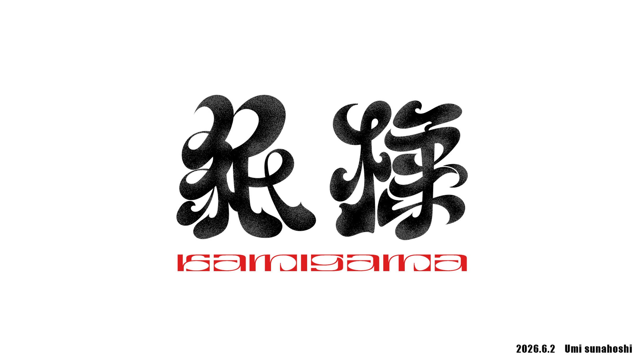 自主制作11 / 紙様-1