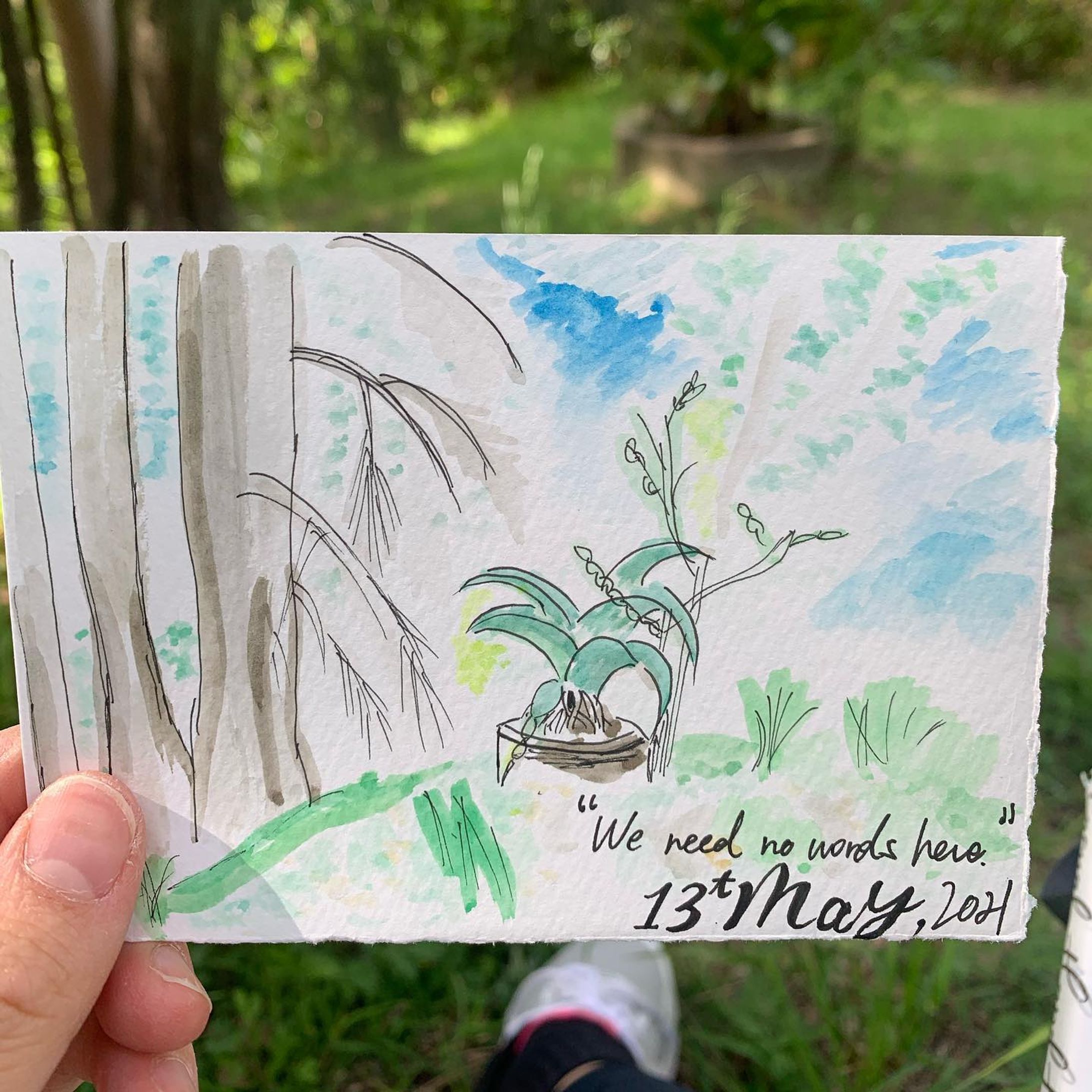 In a beautiful place with pens and insects🐜-1
