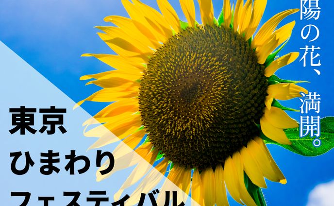 イベント出演、パターン