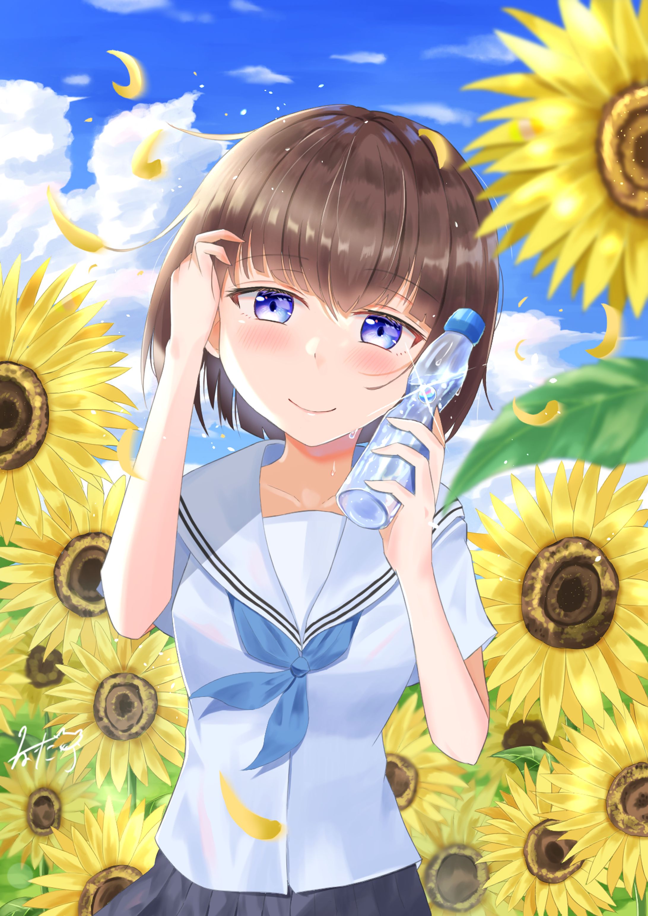 Shining summer-1