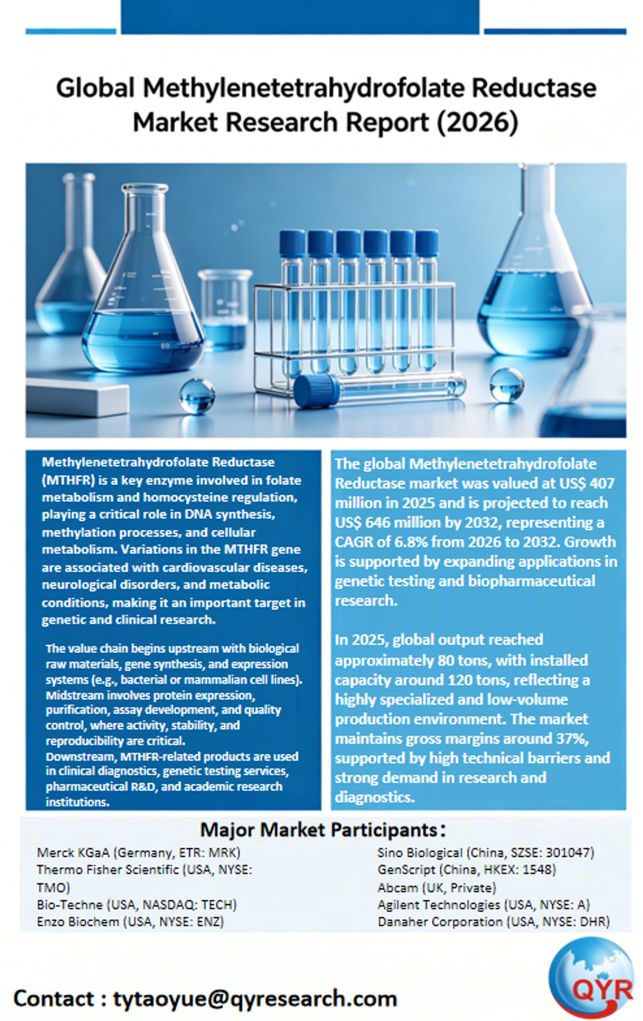 Global Methylenetetrahydrofolate Reductase Market Research Report (2026)-1