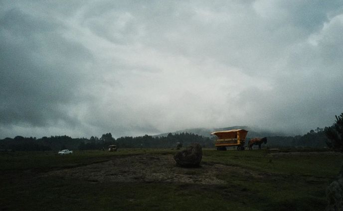 #photography