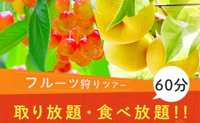 バナー：旅行_フルーツ狩り