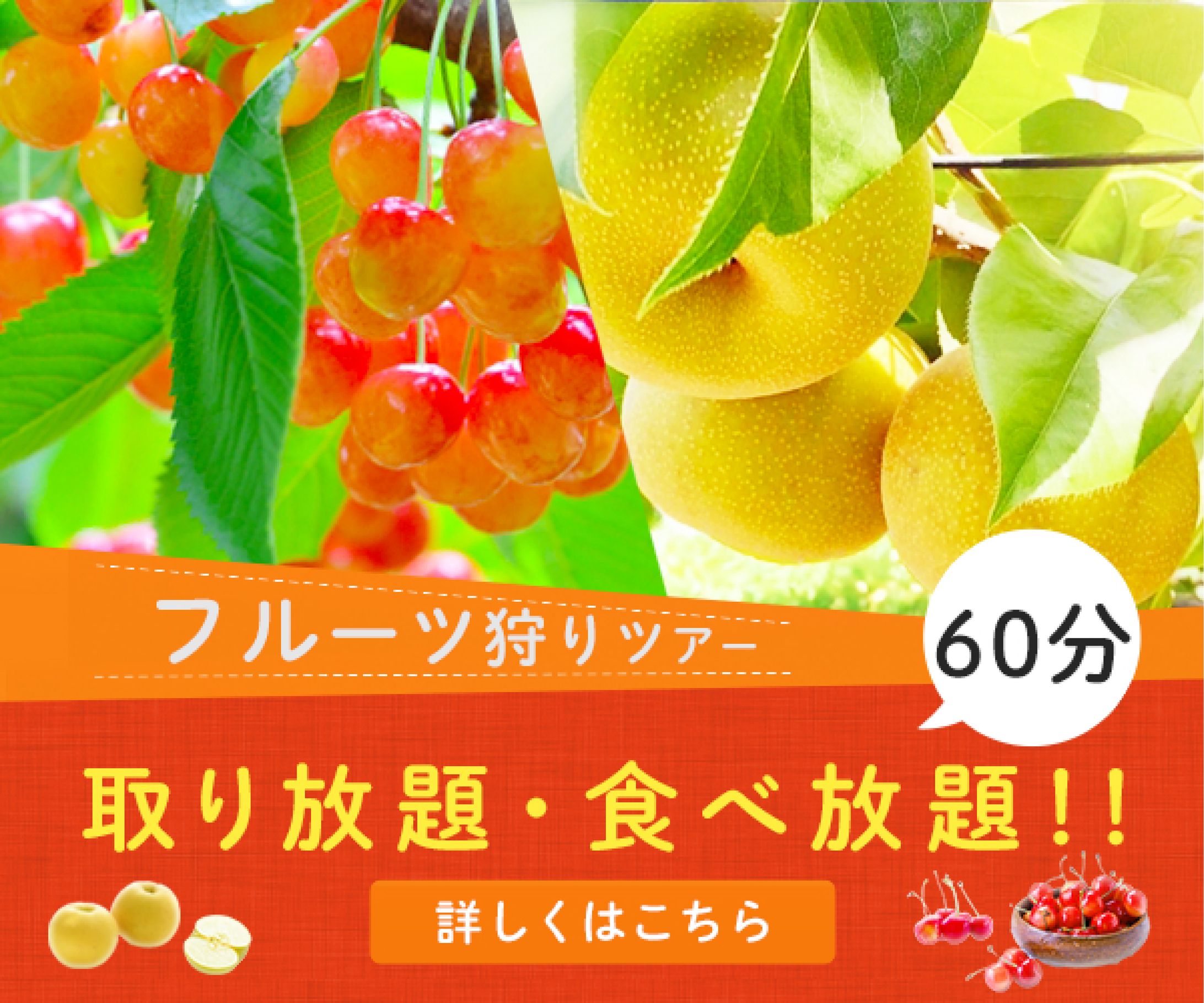 バナー：旅行_フルーツ狩り-1