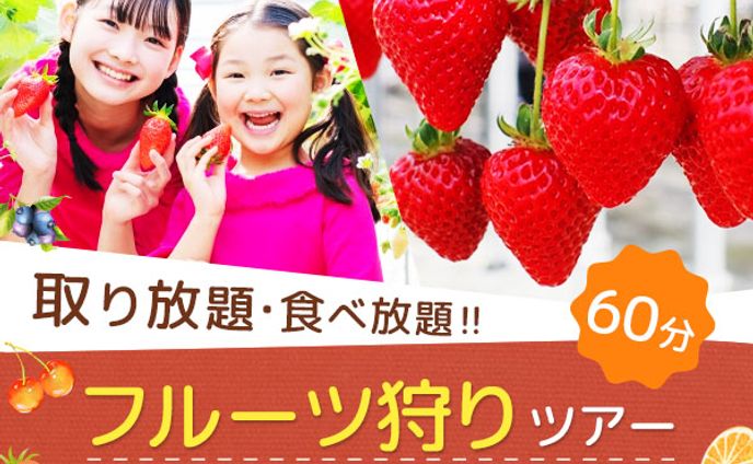 バナー（フルーツ狩り）