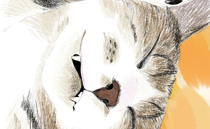 動物似顔絵