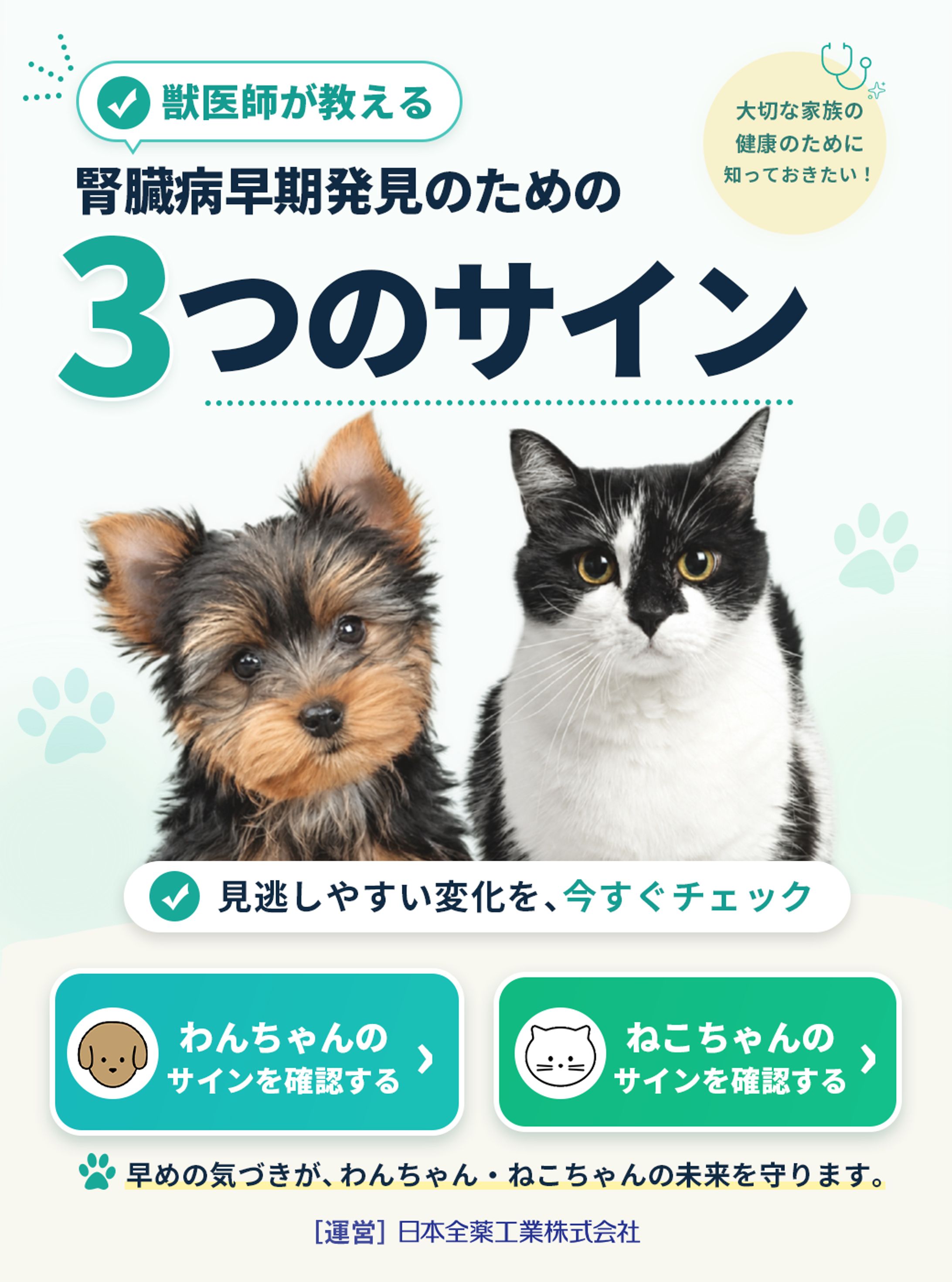 カモフラ合同会社様分-1
