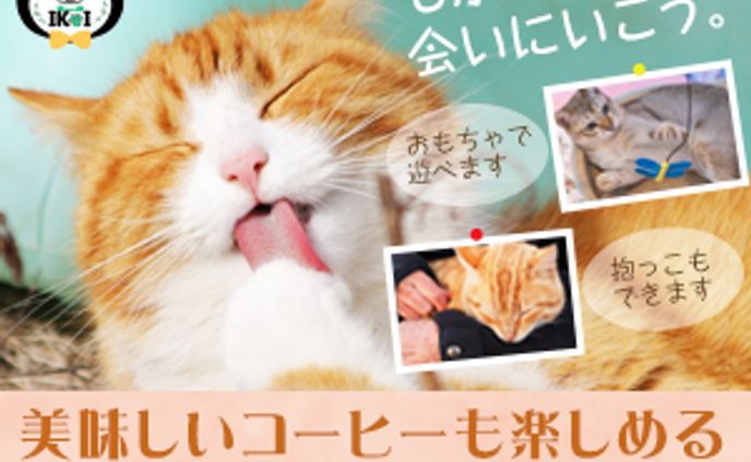 【架空】猫カフェのバナー