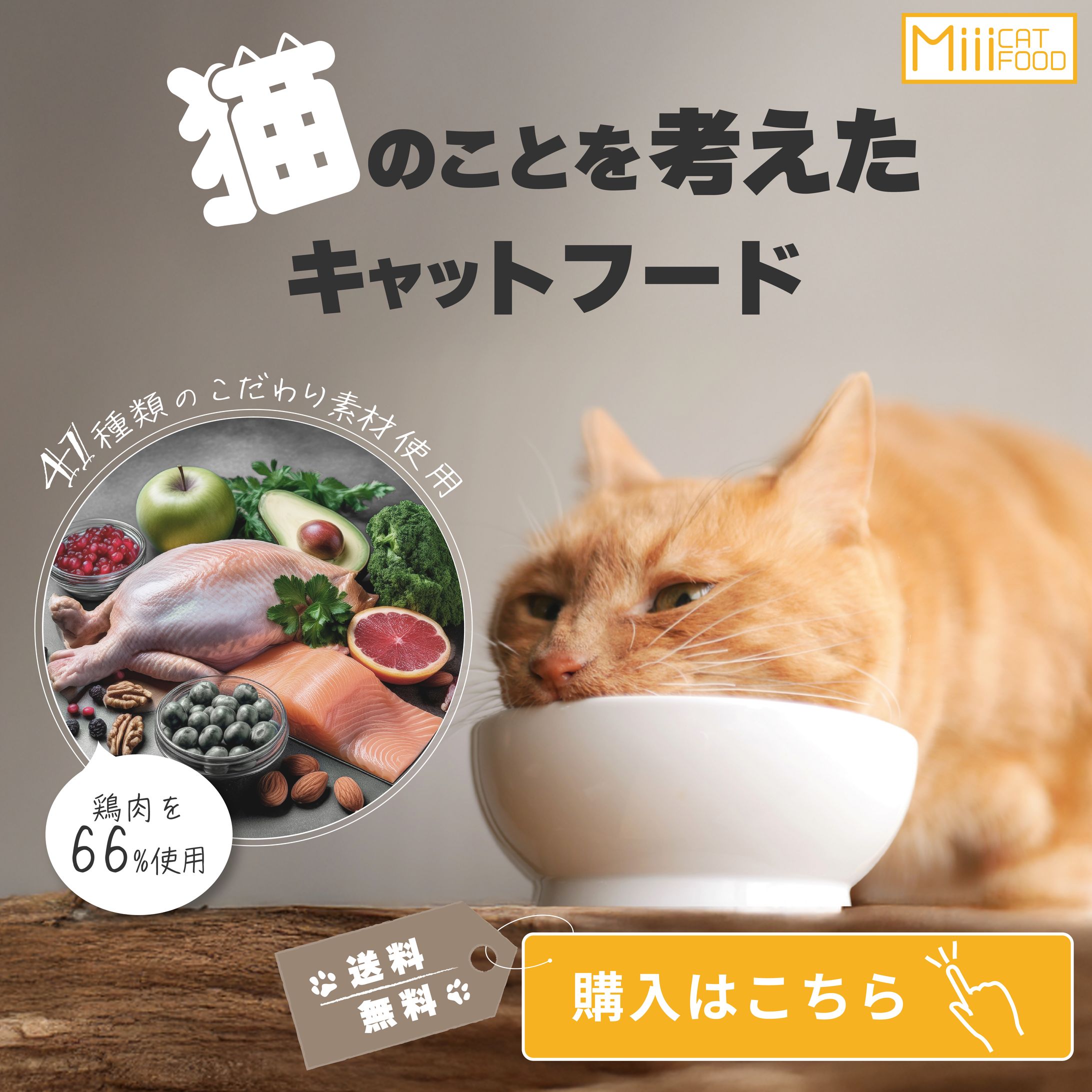 素材の安心感を伝える｜国産キャットフード広告バナー-1