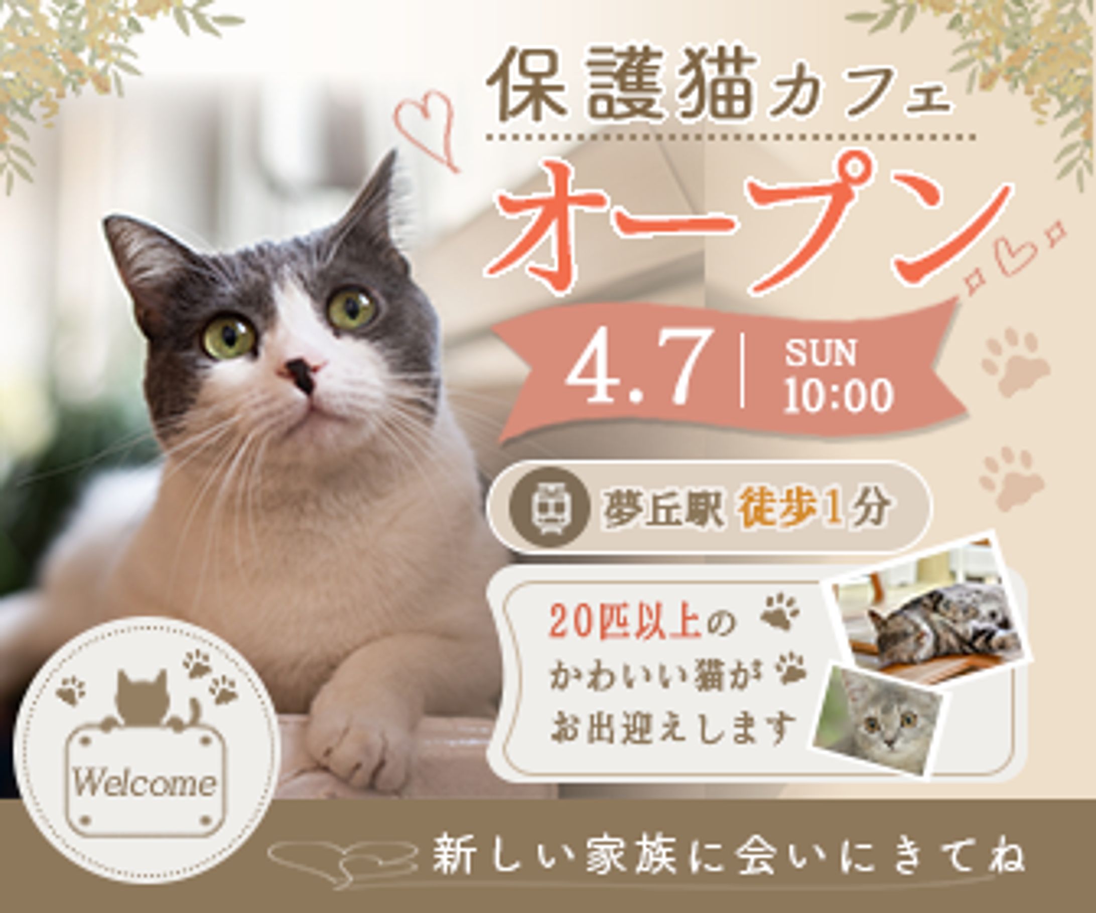 保護猫カフェ-1