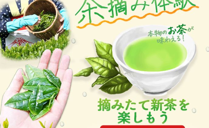茶摘みバナー