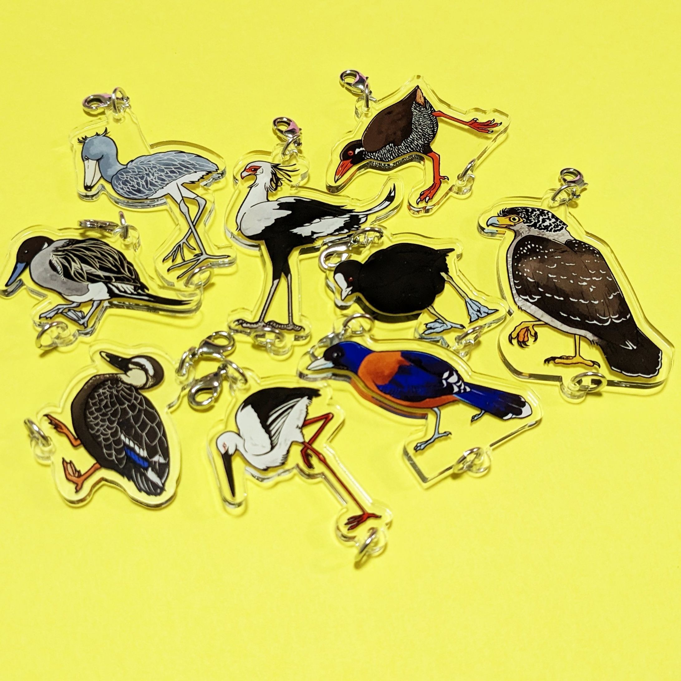 鳥のつながるアクリルチャーム-1