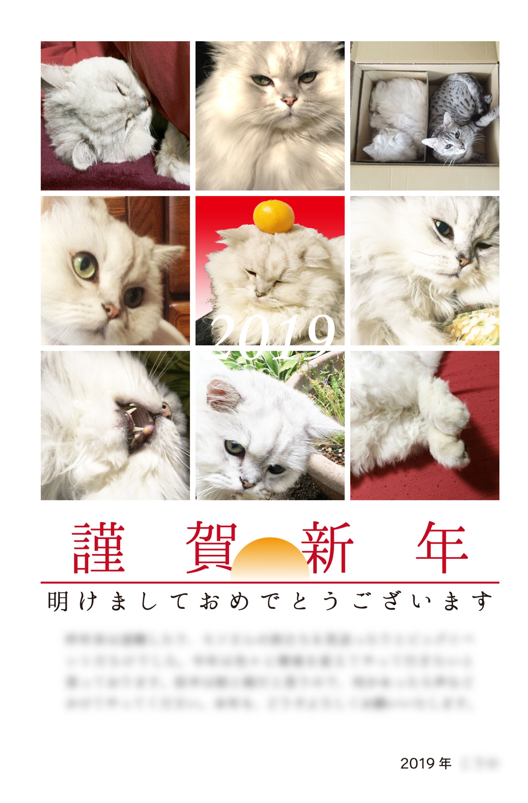 年賀状-1
